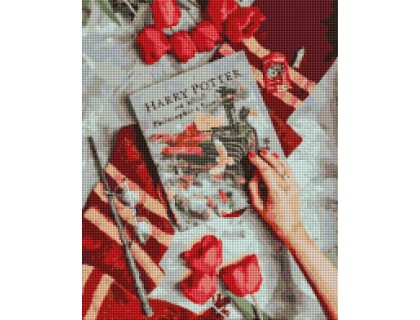 Алмазна мозаїка BrushMe Знайомство з магічним світом Гаррі 50 х 40 см на підрамнику (арт. DBS1033)