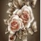 Купить Алмазная мозаика Английские розы 30 х 30 см (арт. FR446)
