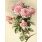 Купить Алмазна вишивка мозаїка Шипи та рози 45 х 30 см (арт. FS890) квіти