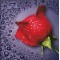 Купить Комплект алмазной вышивки круглыми камнями Красная роза 22 х 22 см (арт. PR060) частичная выкладка