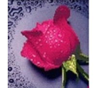 Набор алмазной вышивки Розовая роза 22 х 22 см (арт. PR062) частичная выкладка