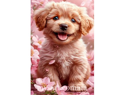 Купить Алмазная вышивка круглые стразы на подрамнике Кудрявый щенок (стразы AB+FD) 40 х 60 см (арт. AR-3260) без коробки