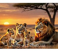 Алмазная мозайка круглые стразы на подрамнике Львиный прайд (стразы AB+FD) 40 х 50 см (арт. AR-3290) без коробки