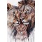 Купити Алмазна мозаїка круглі стрази на підрамнику Сім'я левів (+стрази AB+FD) 40 х 60 см (арт. AR-3309) без коробки