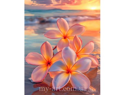 Купити Алмазна мозаїка круглі стрази на підрамнику Франжипані на березі моря (+стрази AB+FD) 40 х 50 см (арт. AR-3350) без коробки