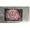 Купить Алмазная вышивка на картоне 20 х 30 см Сильный лев (арт. RK011) круглые камни
