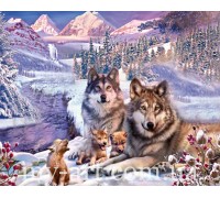 Алмазная вышивка на подрамнике Зима в лесу 50 х 40 см (арт. TN1156) волки