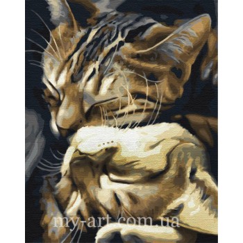 Алмазна вишивка на підрамнику Котяче кохання 40 х 50 см (арт. TN1172)