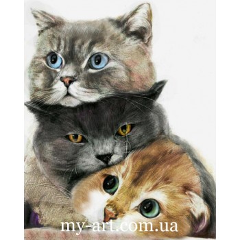 Алмазна мозаїка на підрамнику Три милих котика 40 х 50 см (арт. TN1182)