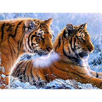 Алмазная вышивка 50 х 40 см на подрамнике Тигры в зимнем лесу (арт. TN939)