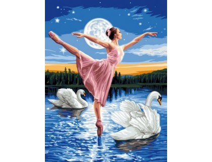 Купить Алмазная вышивка 40 х 30 см на подрамнике Балерина и лебеди (арт. TN972)