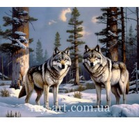 Алмазная вышивка 40 х 50 см на подрамнике Стая под звездами (+ стразы АБ+FD) (арт. TNG1778)