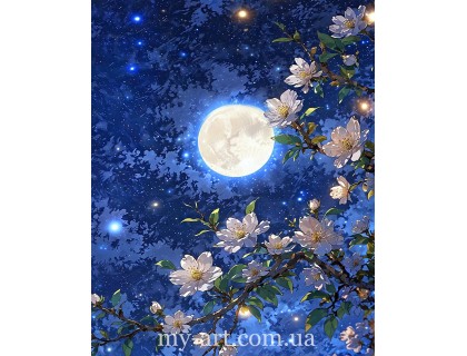 Купить Алмазная мозаика с подрамником 50 х 40 см Летняя ночь (+стразы AB+Fairy Dust) (арт. TNG1796)