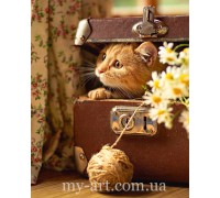 Алмазная вышивка 40 х 50 см на подрамнике Котик спрятался (+ стразы голограмные + магическая пыль) (арт. TNG1800)