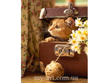 Купить Алмазная вышивка 40 х 50 см на подрамнике Котик спрятался (+ стразы голограмные + магическая пыль) (арт. TNG1800)