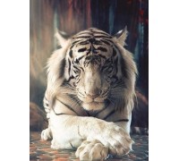 Набор алмазной мозаики Белый тигр 40 х 30 см (арт. FS827)