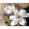 Купить Картина по номерам ArtStory Прекрасный цветок AS0113 40 х 50 см